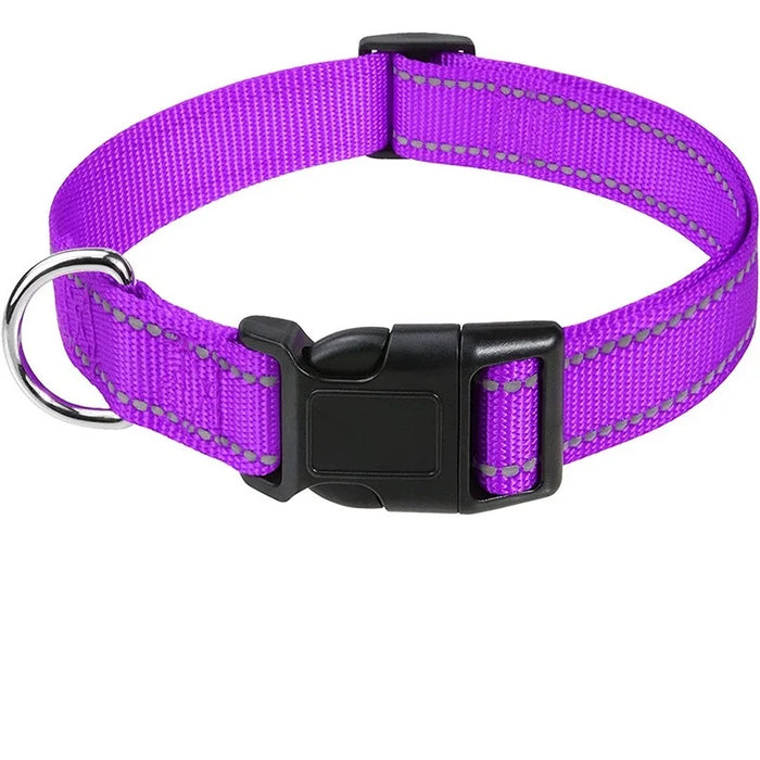 Hundehalsband dekorativ für kleine Hunde, im Set