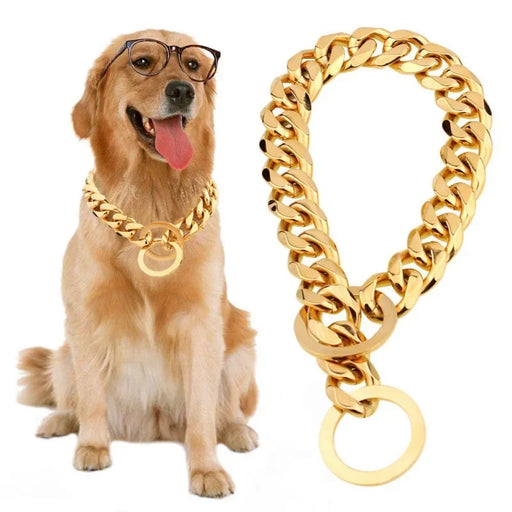 Ketten-Halsband für Hunde vergoldet, im Choker-Stil