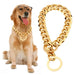 Ketten-Halsband für Hunde vergoldet, im Choker-Stil
