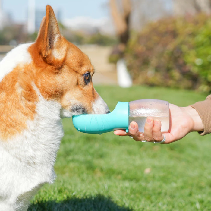 Trinkflasche für Hunde 300 ml, für unterwegs