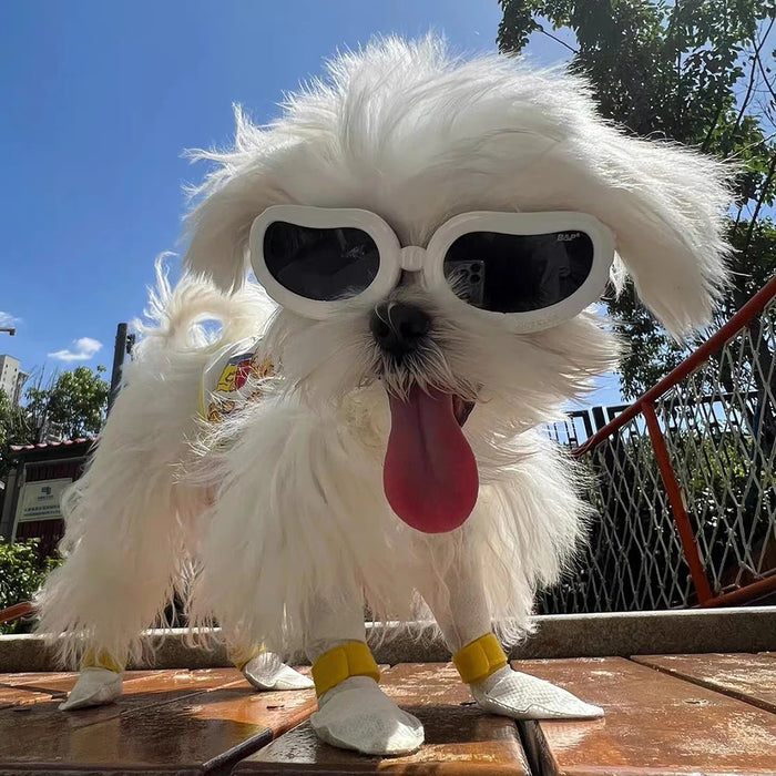 Hundebrille Retro, mit UV-Schutz für kleine Hunde