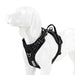 Truelove Hundegeschirr No-Pull, reflektierend