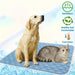 Kühlmatte für Hunde, waschbar & atmungsaktiv