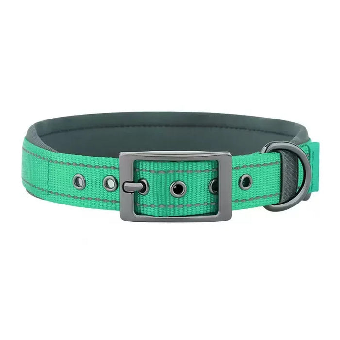 Hundehalsband aus Nylon, einfarbig mit Schnalle