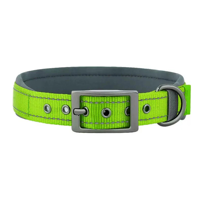 Hundehalsband aus Nylon, einfarbig mit Schnalle