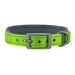 Hundehalsband aus Nylon, einfarbig mit Schnalle