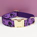 Hundehalsband personalisiert, mit Namensgravur