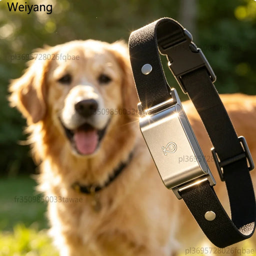 Mini-GPS-Tracker für Hunde & Katzen, 4G IP67