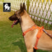 Truelove Hundegeschirr No-Pull, reflektierend