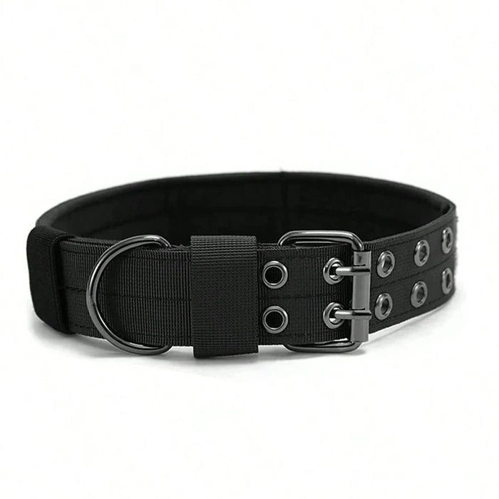 Taktisches Hundehalsband aus Nylon, mit Schnalle