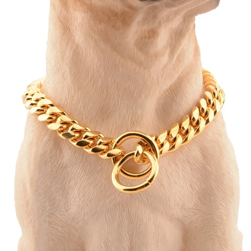 Ketten-Halsband für Hunde vergoldet, im Choker-Stil