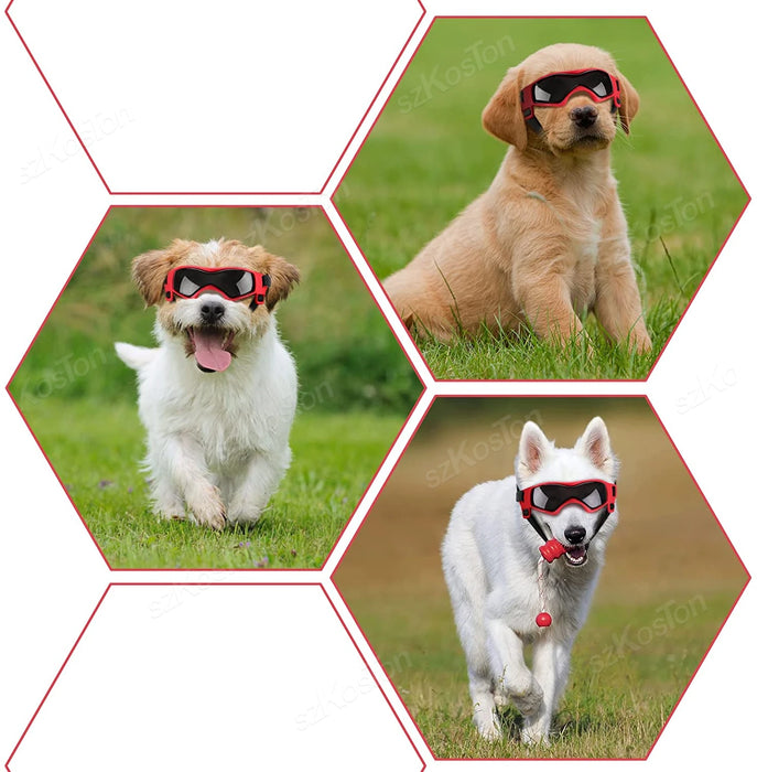 Hundebrille mit UV-Schutz, verstellbar