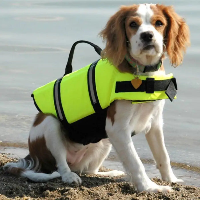 Schwimmweste für Hunde, reflektierend für den Sommer