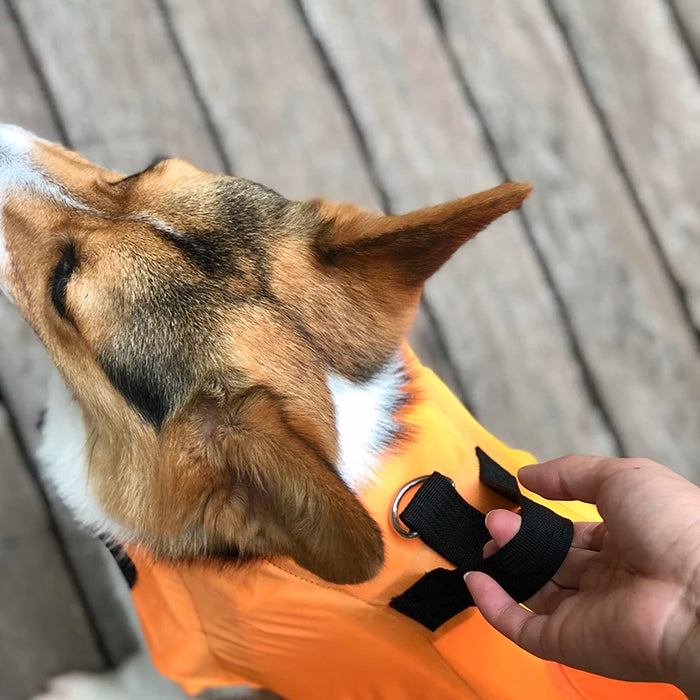 Schwimmweste für Hunde mit Rettungsgriff