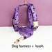 Hundehalsband personalisiert, mit Namensgravur