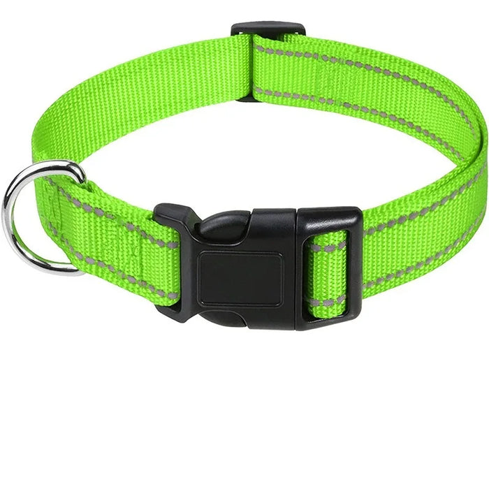 Hundehalsband dekorativ für kleine Hunde, im Set