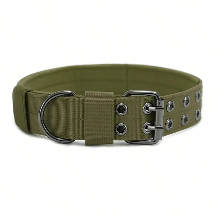 Taktisches Hundehalsband aus Nylon, mit Schnalle