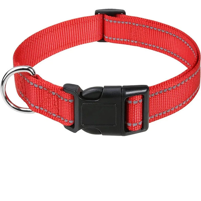 Hundehalsband dekorativ für kleine Hunde, im Set
