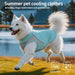 Kühlweste für Hunde mit UV-Schutz, Mesh
