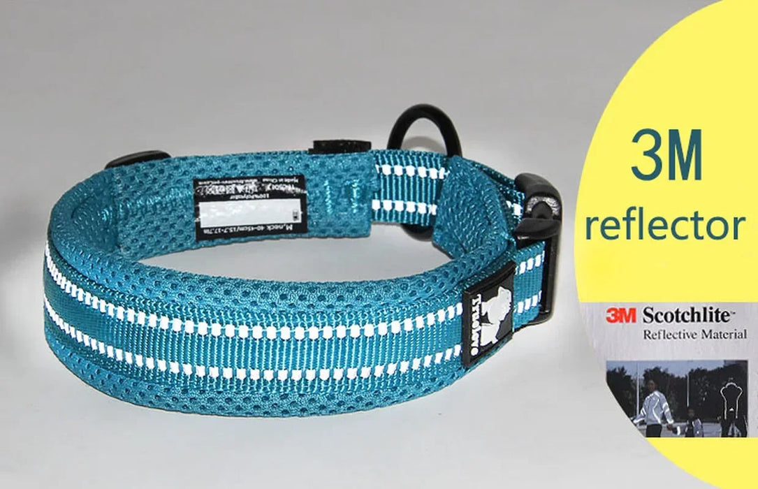Truelove Hundehalsband gepolstert, aus Mesh