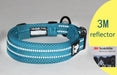 Truelove Hundehalsband gepolstert, aus Mesh
