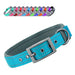 Hundehalsband aus Nylon, einfarbig mit Schnalle