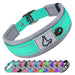 Hundehalsband gepolstert, reflektierend & breit