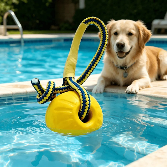 Schwimm-Spielzeug für Hunde, für Pool & See