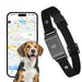 GPS-Tracker für Hunde 4G, wasserdicht IP67