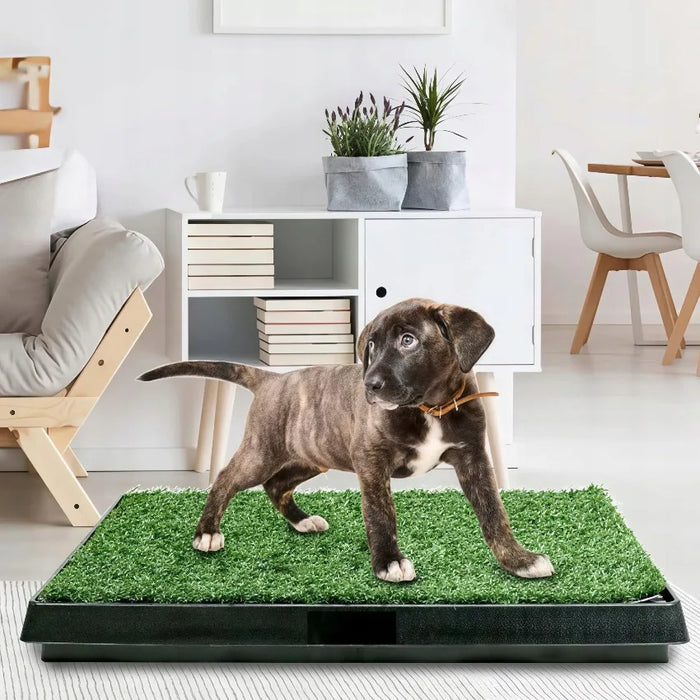 Hundetoilette für drinnen, mit Kunstrasen