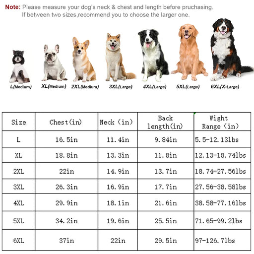 Kühlweste für Hunde mit UV-Schutz, Mesh