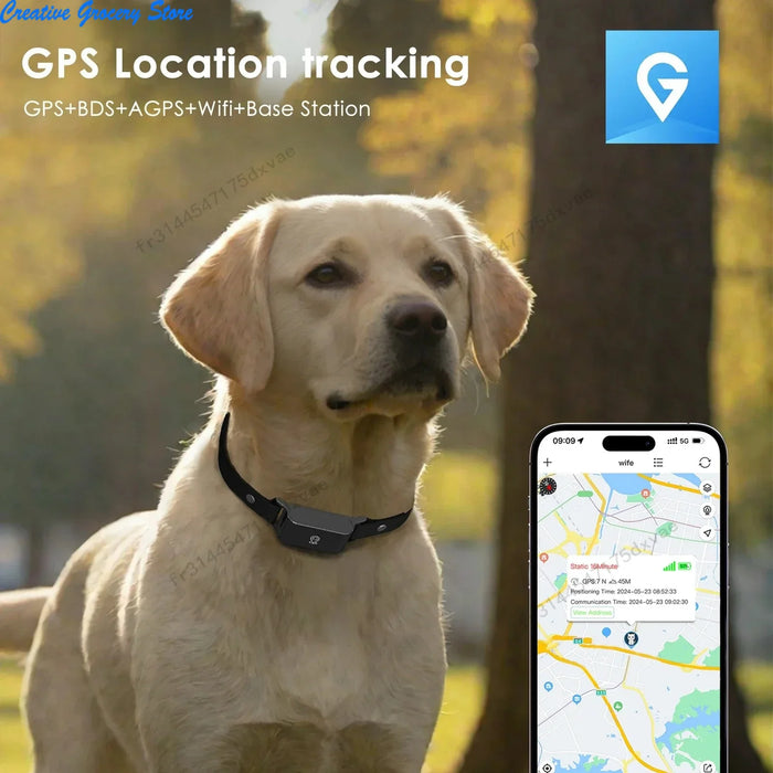 GPS-Tracker für Hunde 4G, mit Gesundheitsüberwachung