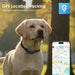 GPS-Tracker für Hunde 4G, mit Gesundheitsüberwachung