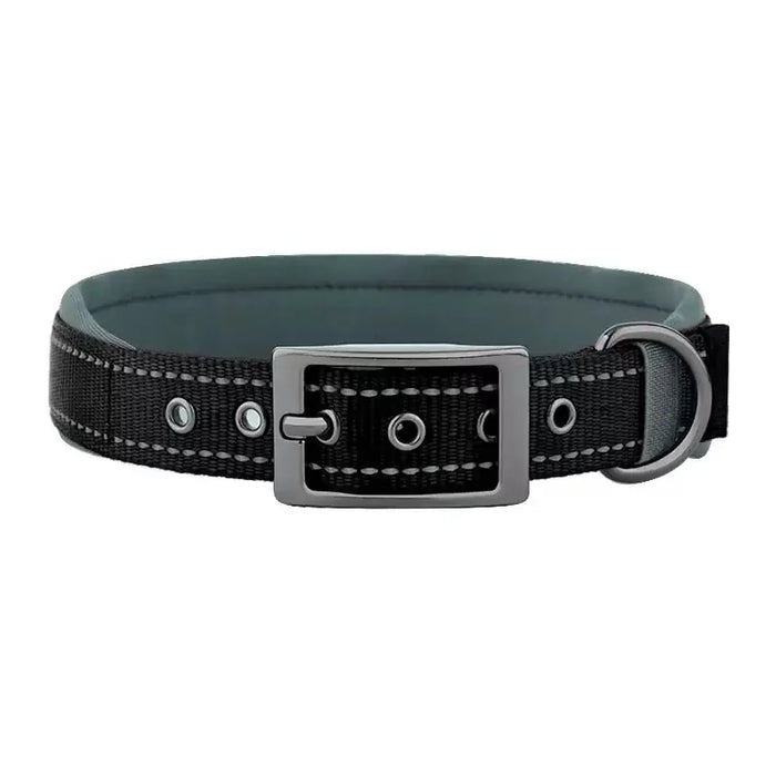 Hundehalsband aus Nylon, einfarbig mit Schnalle