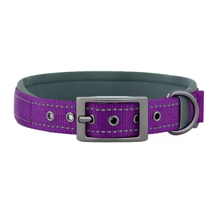 Hundehalsband aus Nylon, einfarbig mit Schnalle