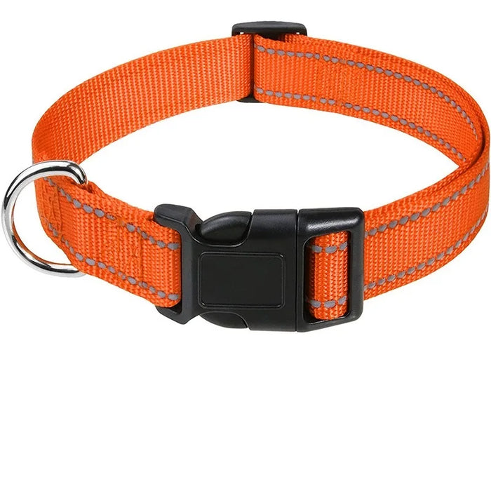 Hundehalsband dekorativ für kleine Hunde, im Set
