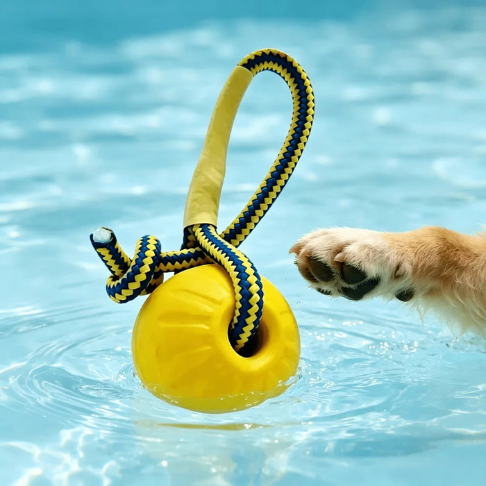 Schwimm-Spielzeug für Hunde, für Pool & See
