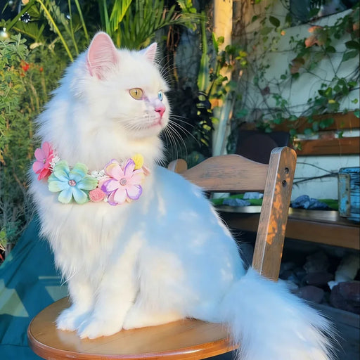Hundehalsband mit Blüten, verstellbar für Hund & Katze