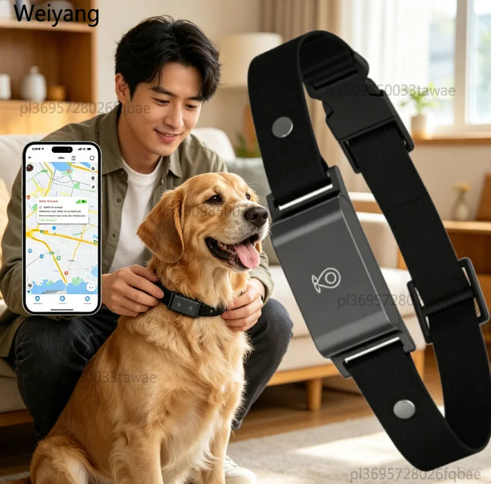 Mini-GPS-Tracker für Hunde & Katzen, 4G IP67