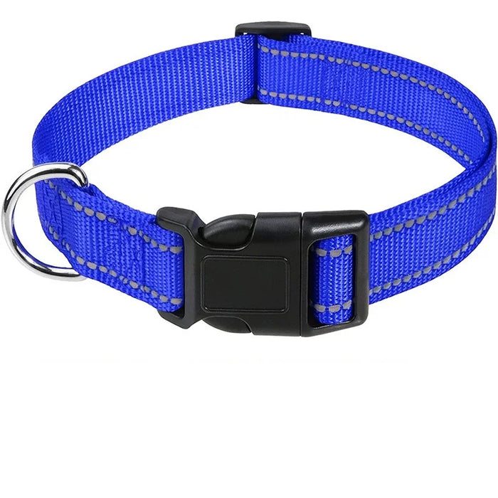 Hundehalsband dekorativ für kleine Hunde, im Set