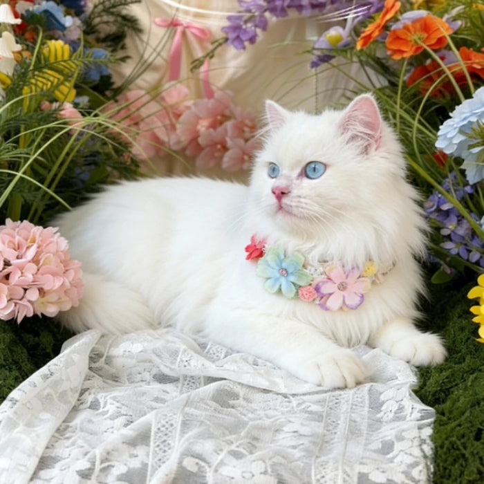 Hundehalsband mit Blüten, verstellbar für Hund & Katze