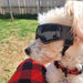 Hundebrille mit UV-Schutz, verstellbar