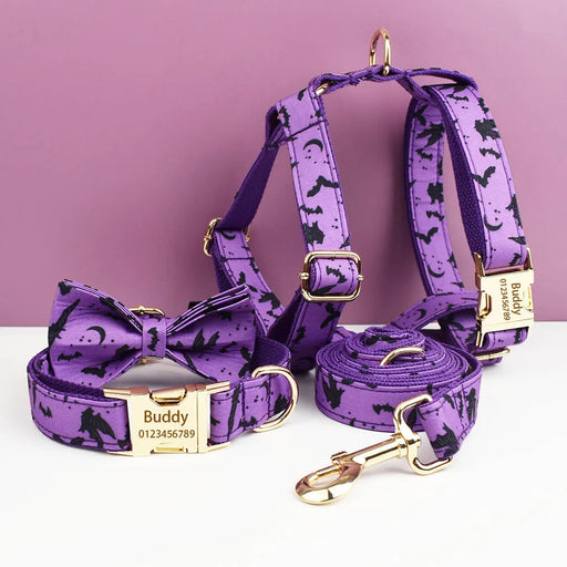 Hundehalsband personalisiert, mit Namensgravur