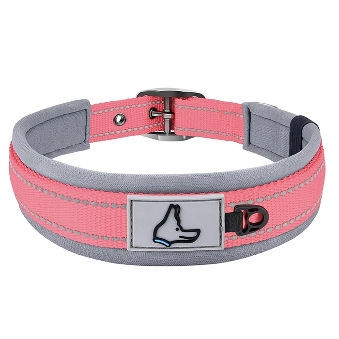 Hundehalsband aus Nylon, einfarbig mit Schnalle