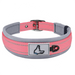 Hundehalsband aus Nylon, einfarbig mit Schnalle