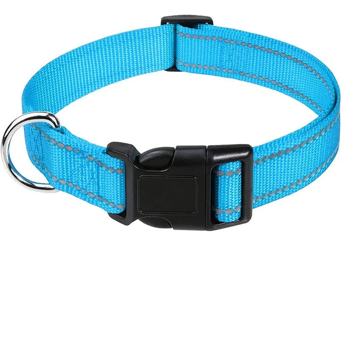 Hundehalsband dekorativ für kleine Hunde, im Set