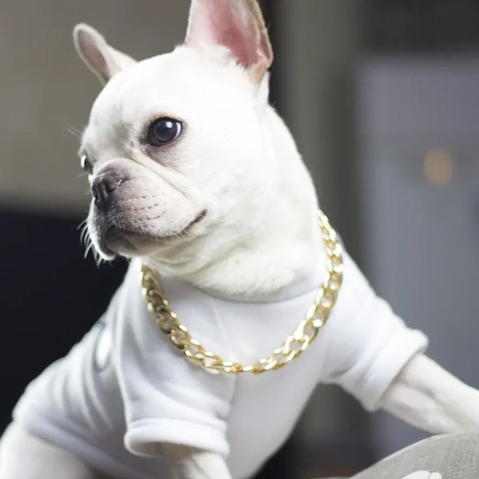 Ketten-Halsband für Hunde vergoldet, im Choker-Stil