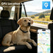 GPS-Tracker für Hunde 4G, wasserdicht IP67