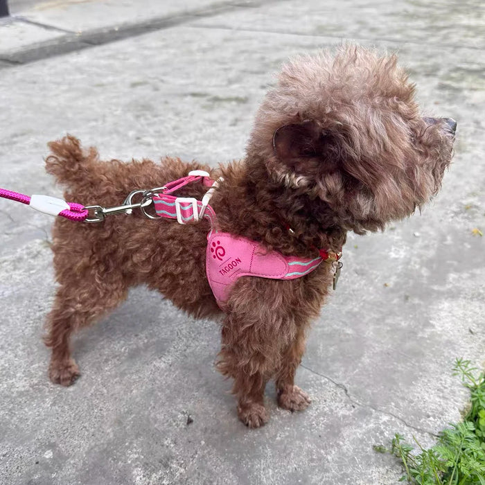 Hundegeschirr aus Mesh, atmungsaktiv mit Leine