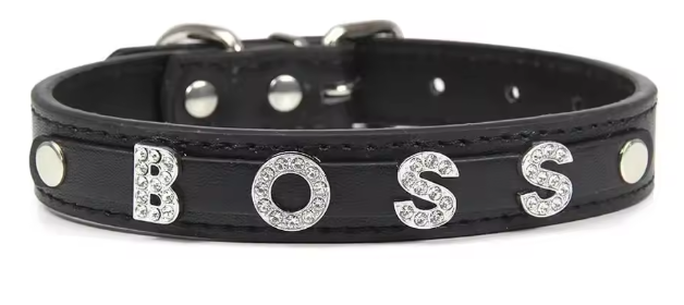 Pawood™ Crystal Personalized Pet Collar